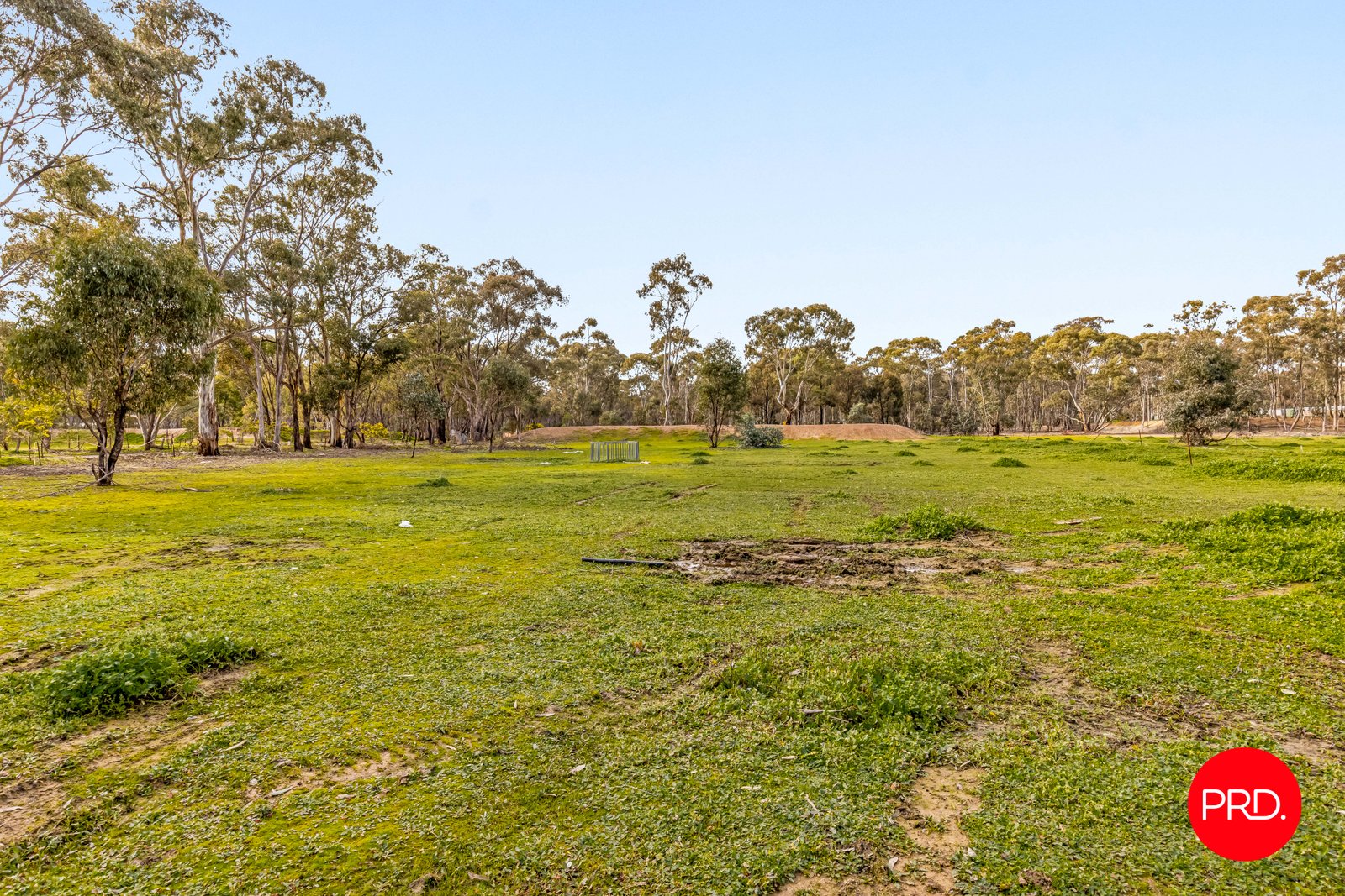 980 Calder Alternative Highway LOCKWOOD 21