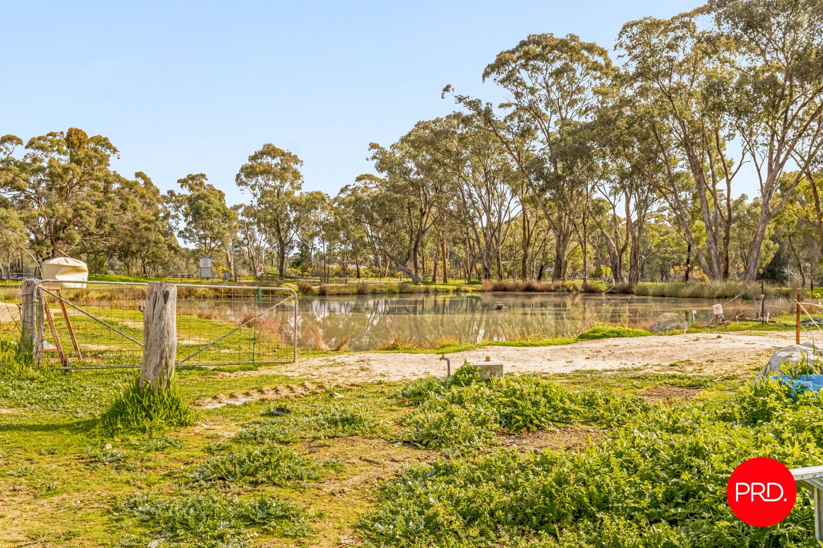 980 Calder Alternative Highway LOCKWOOD 22