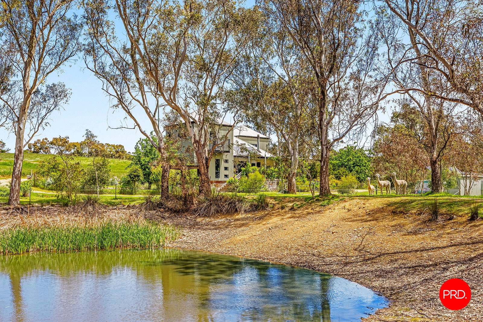 980 Hepburn-Newstead Road YANDOIT 2