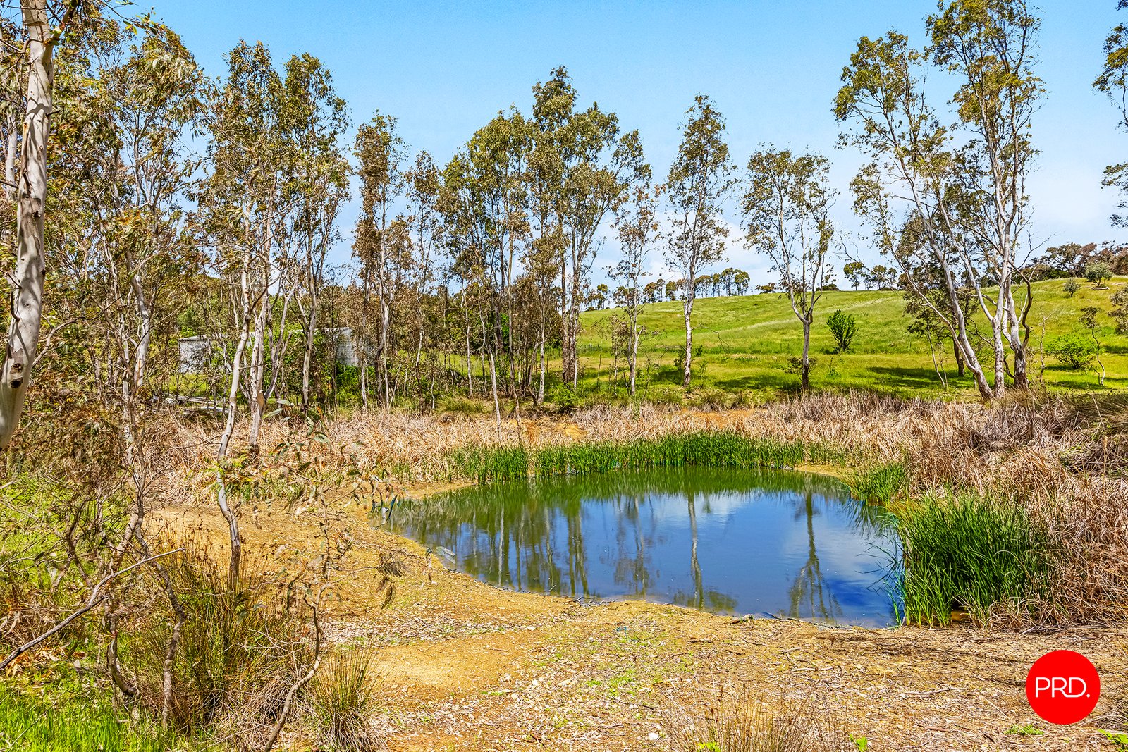 980 Hepburn-Newstead Road YANDOIT 21