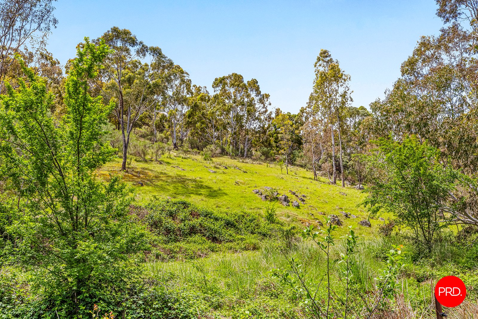 980 Hepburn-Newstead Road YANDOIT 24