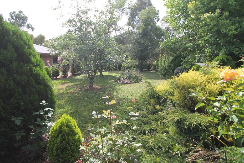 986 Smythesdale - Snake Valley Road SNAKE VALLEY 20