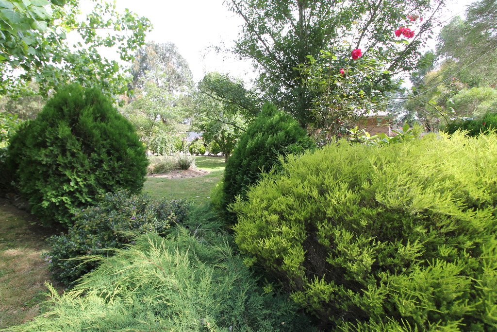 986 Smythesdale - Snake Valley Road SNAKE VALLEY 21