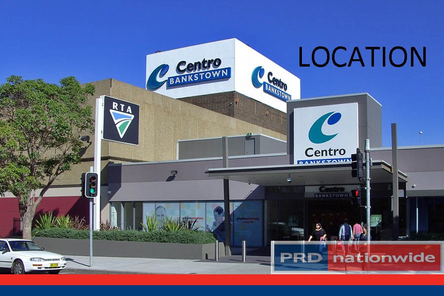 99 Edgar Street BANKSTOWN 15