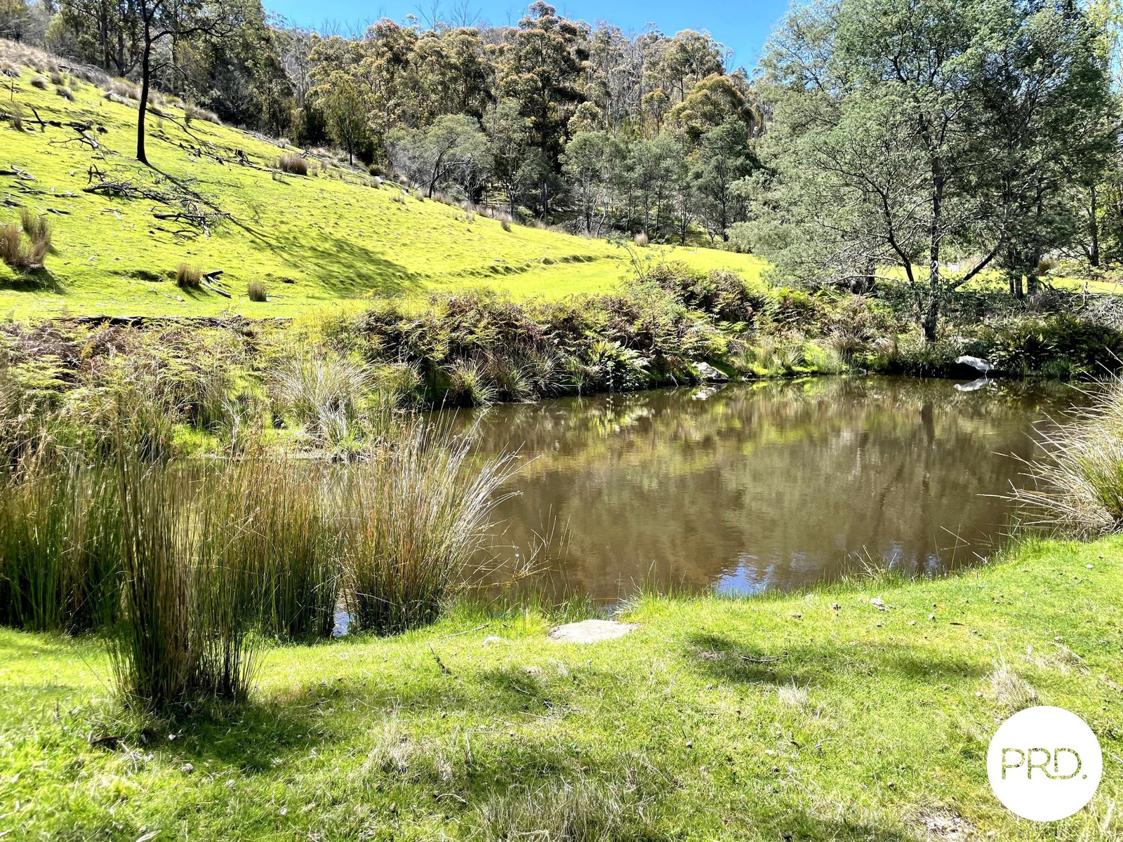 99 McKenzies Road MOLESWORTH 3