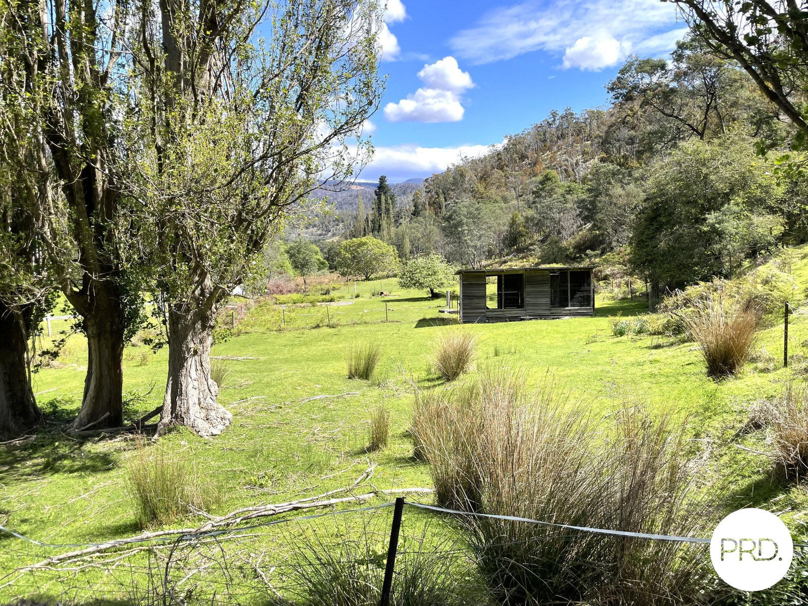 99 McKenzies Road MOLESWORTH 16