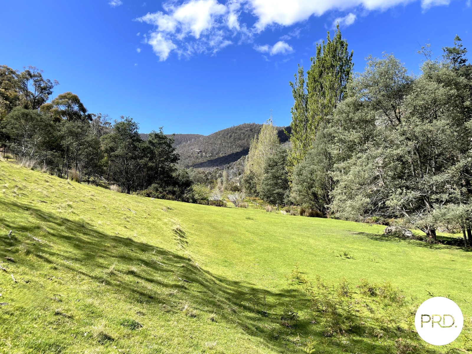 99 McKenzies Road MOLESWORTH 17