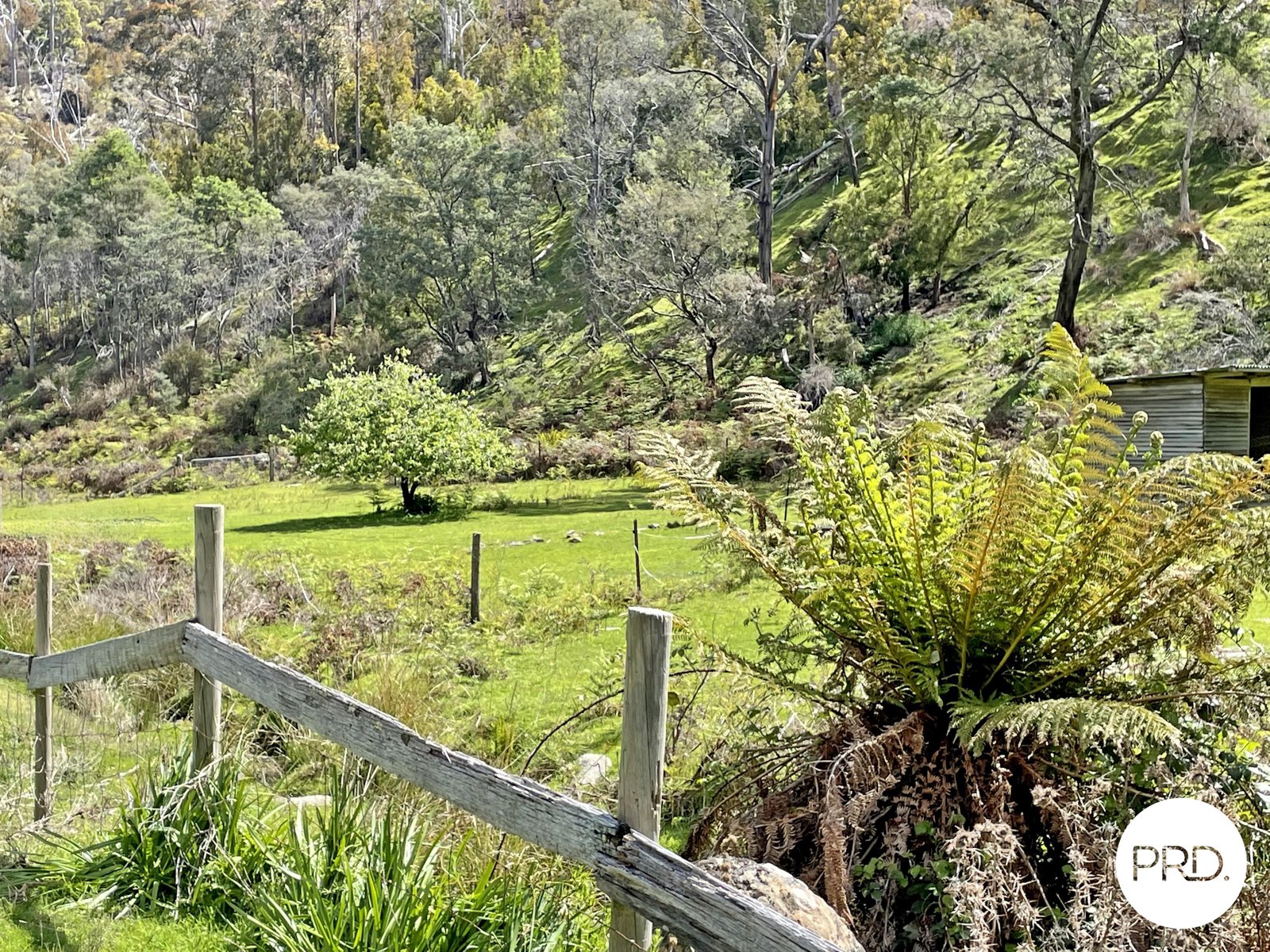 99 McKenzies Road MOLESWORTH 27