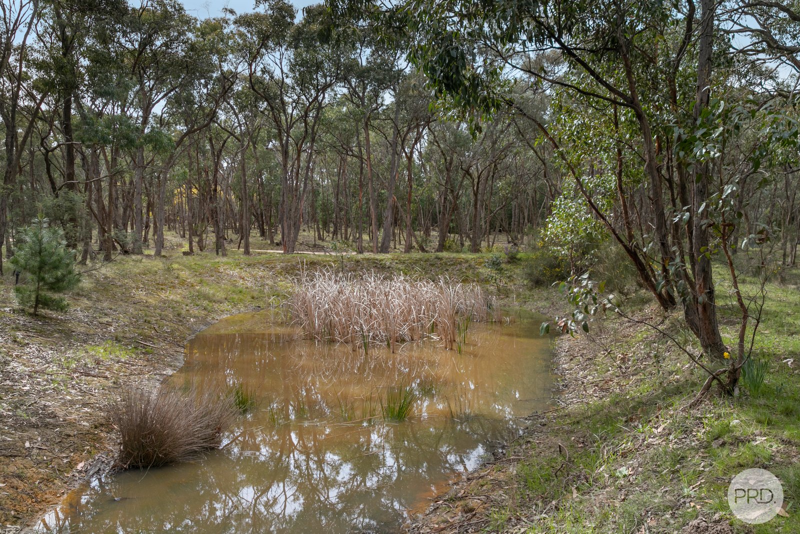 99 McMillan Road BROOMFIELD 16