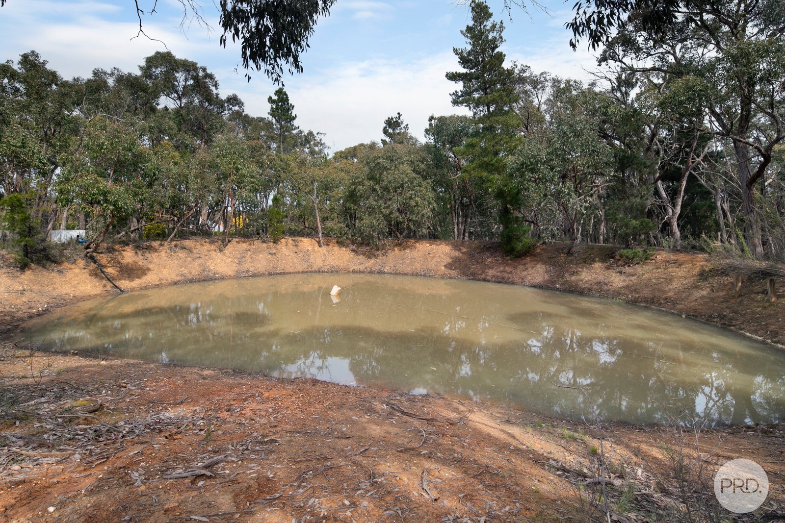 99 McMillan Road BROOMFIELD 17