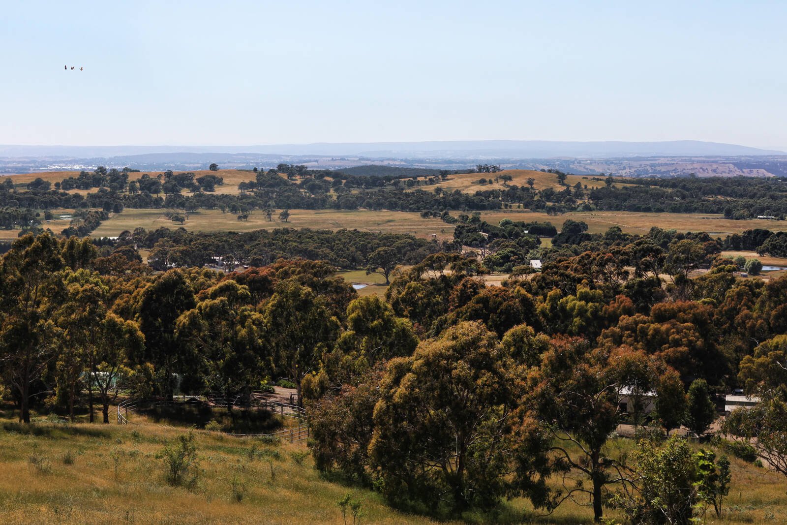 Real Estate and Property in 99 Mt William Road, Lancefield, VIC