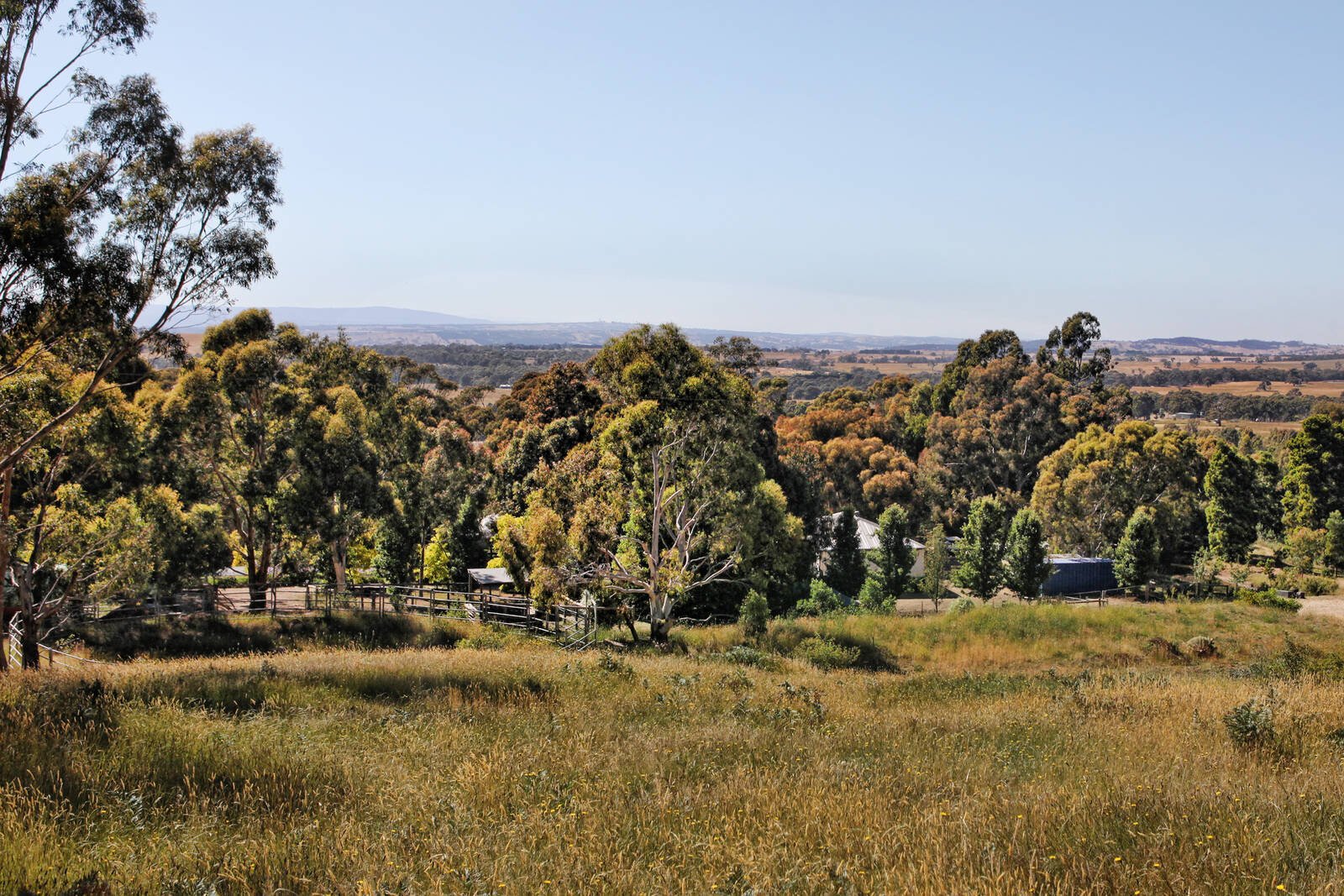 Real Estate and Property in 99 Mt William Road, Lancefield, VIC