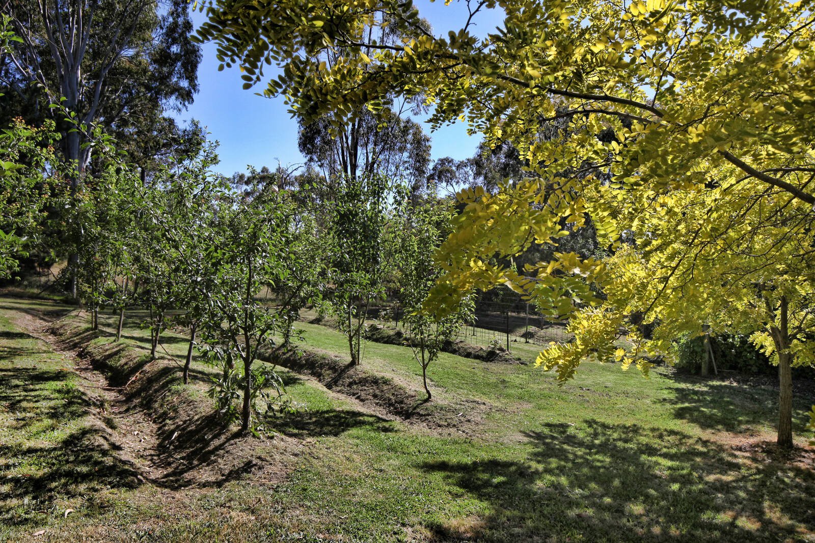 Real Estate and Property in 99 Mt William Road, Lancefield, VIC