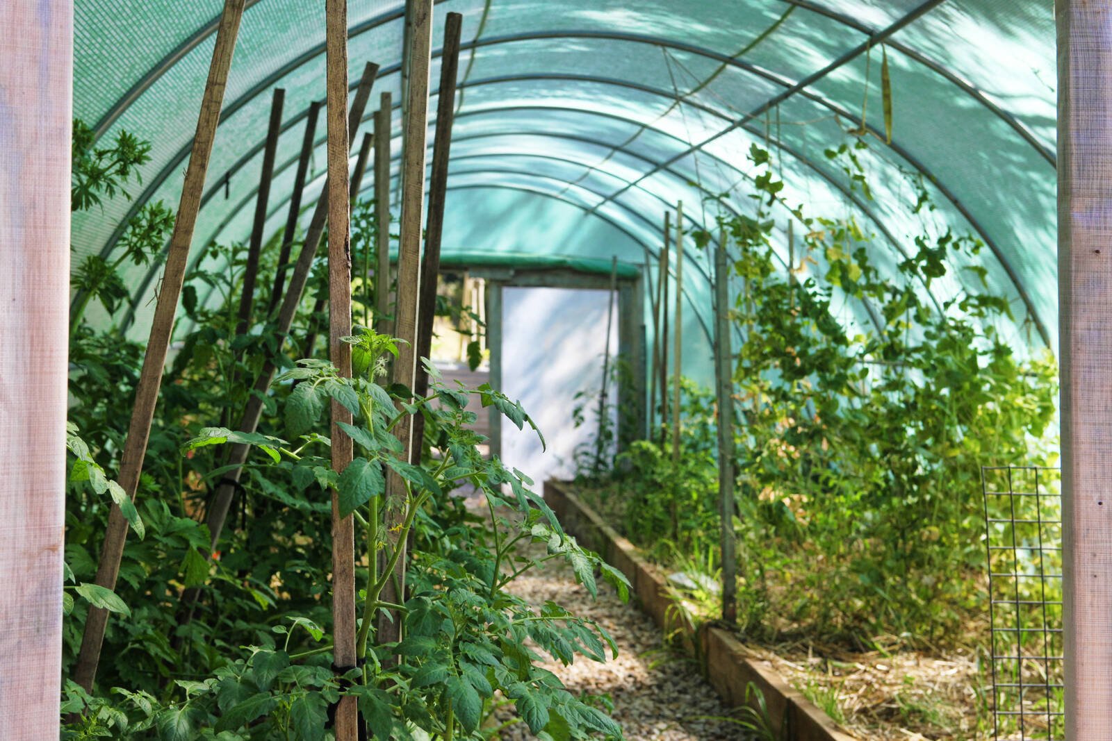 Real Estate and Property in 99 Mt William Road, Lancefield, VIC