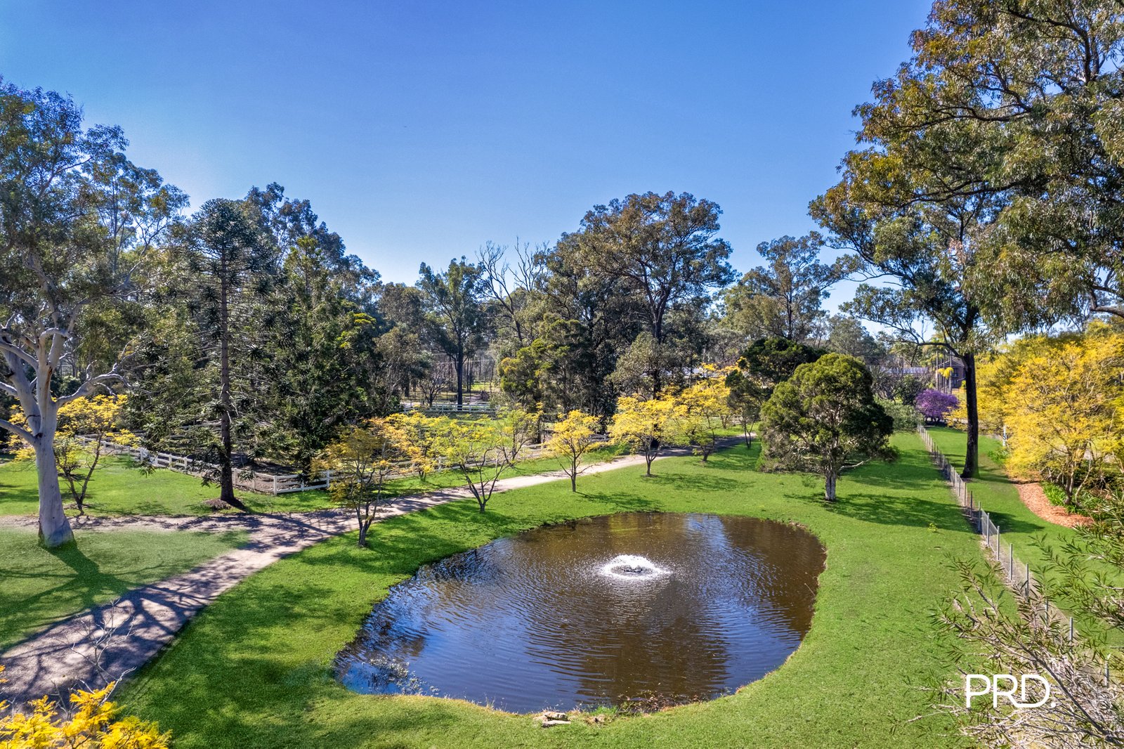 99 Sheredan Road CASTLEREAGH 29