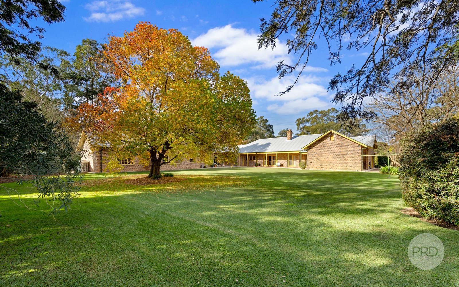 99 Sheredan Road CASTLEREAGH 15