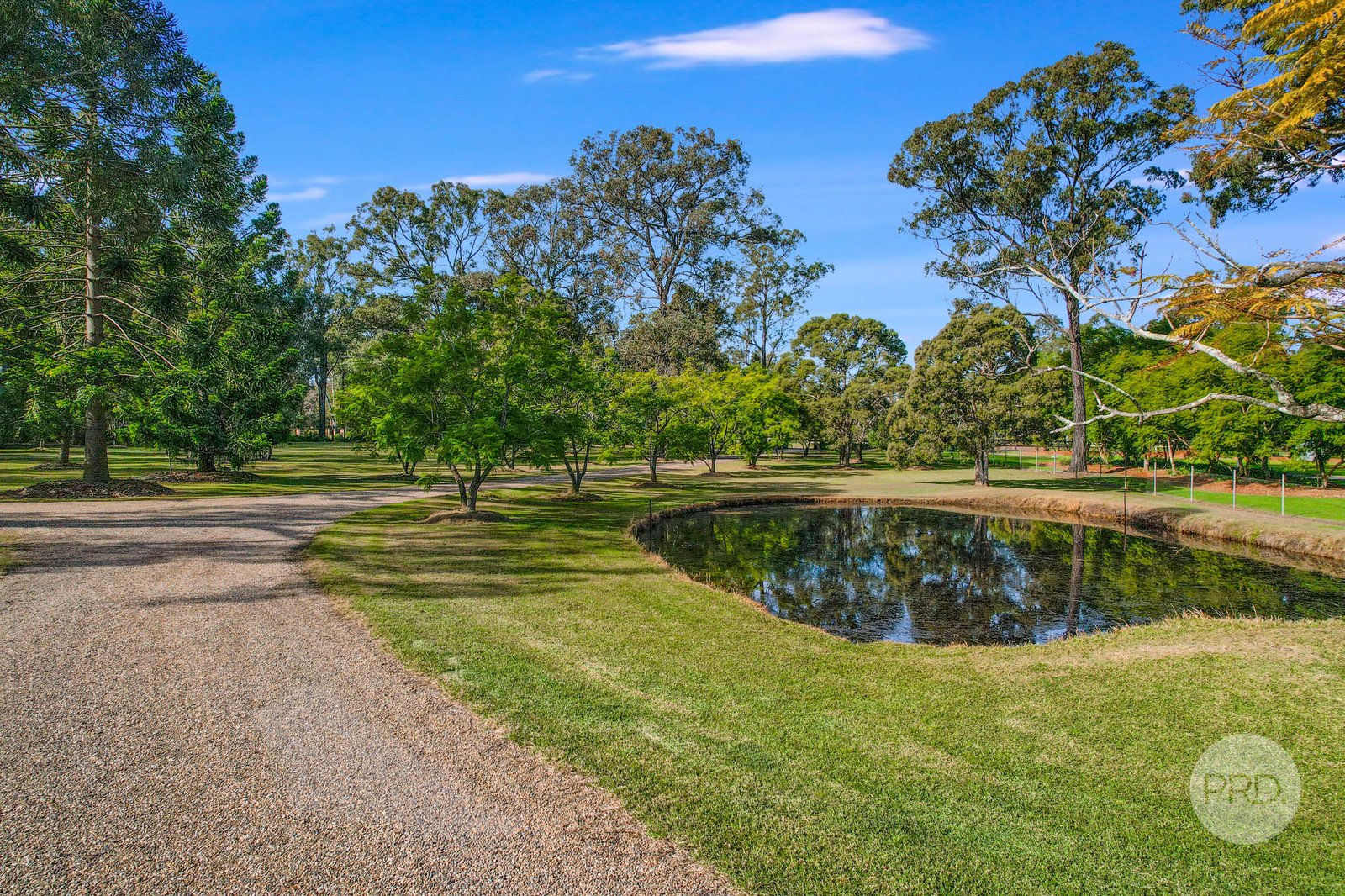 99 Sheredan Road CASTLEREAGH 24