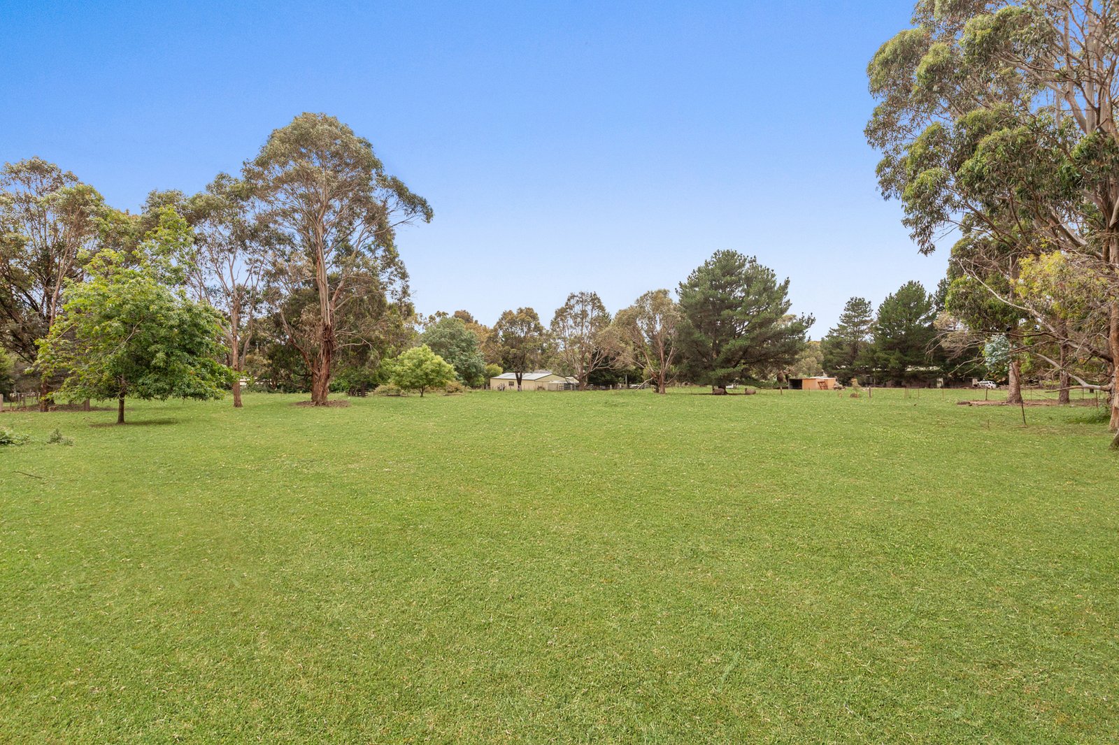 Gallery: 9A Curry Road