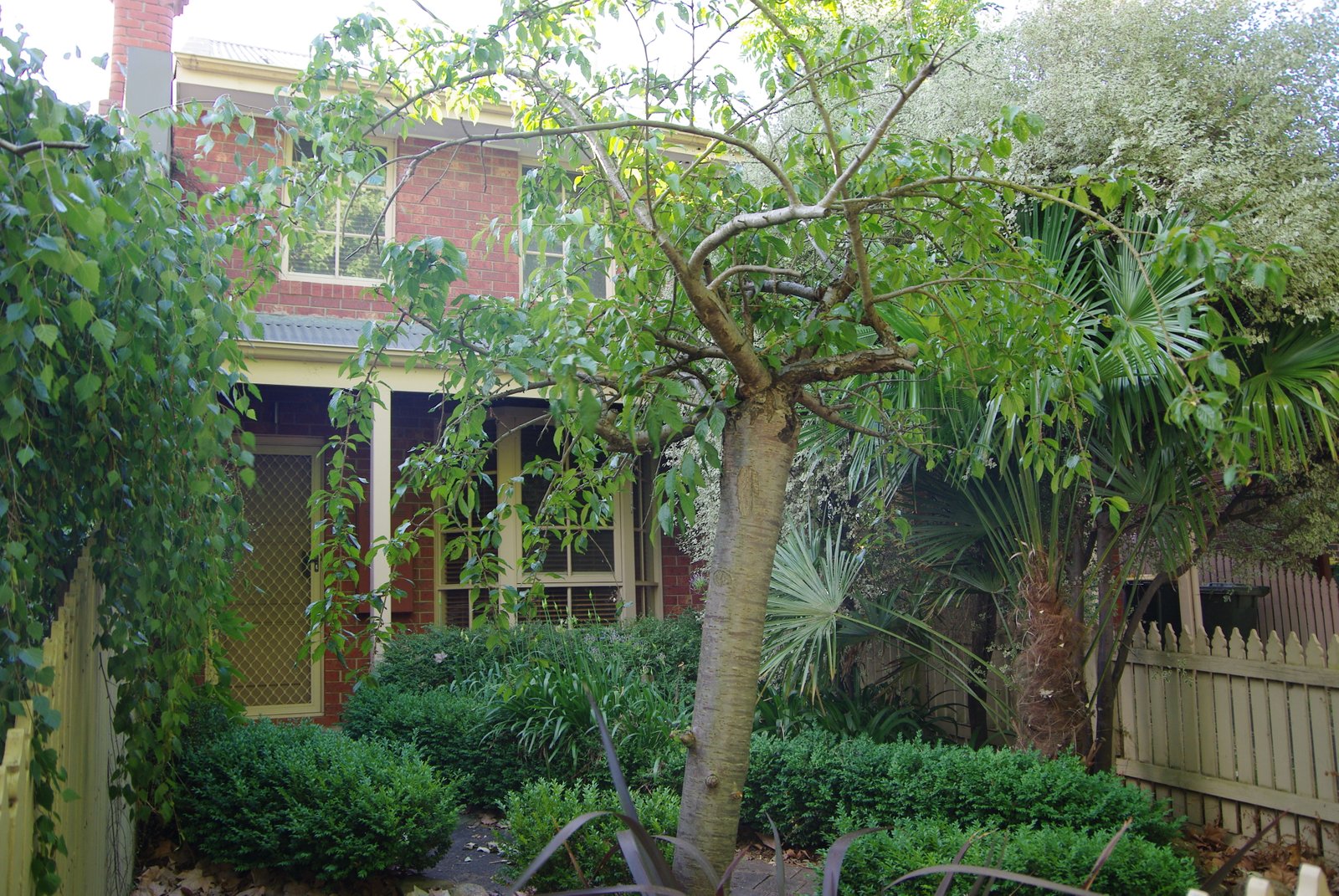 Gallery: A/120 Windermere Street