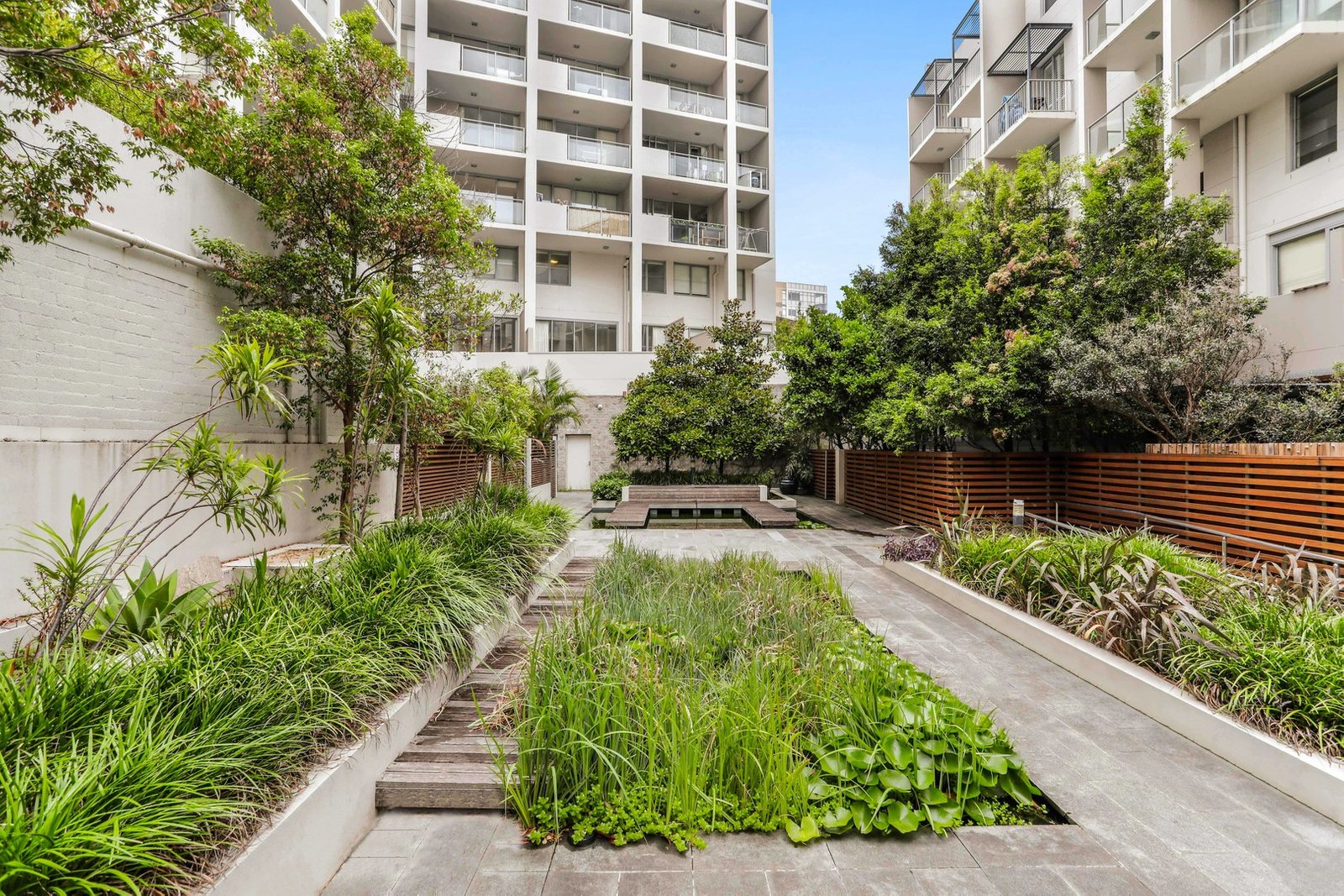 A41/15 Green Street MAROUBRA 6