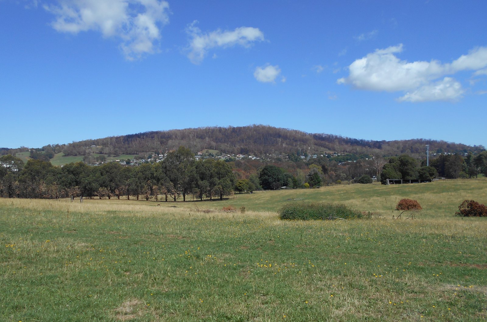 Adamilla Flat 106 Yellowin Road BATLOW 12