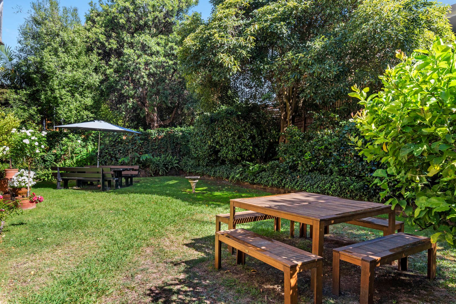 Real Estate and Property in APT 3/13 Callantina Road, Hawthorn, VIC