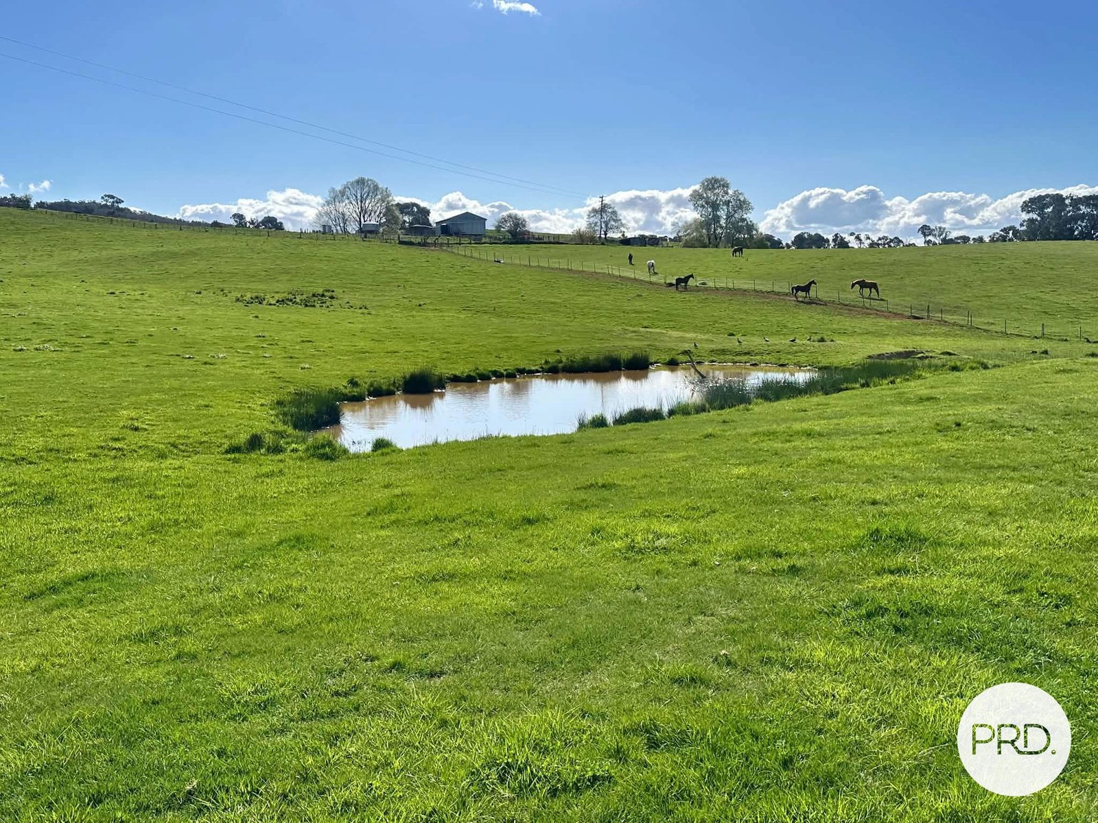 B//DP382268 Murrays Crossing Road TUMBARUMBA 8