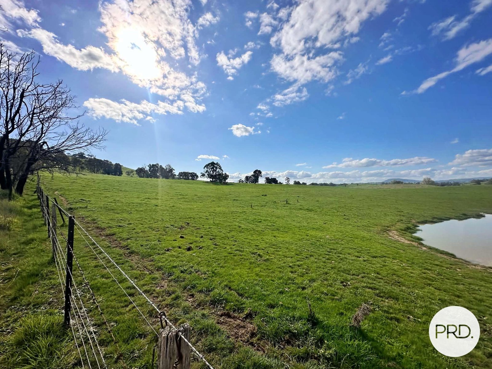 B//DP382268 Murrays Crossing Road TUMBARUMBA 12