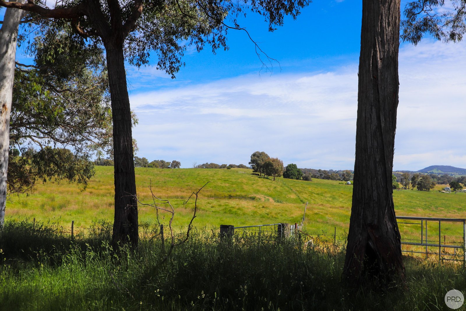 B//DP382268 Murrays Crossing Road TUMBARUMBA 7