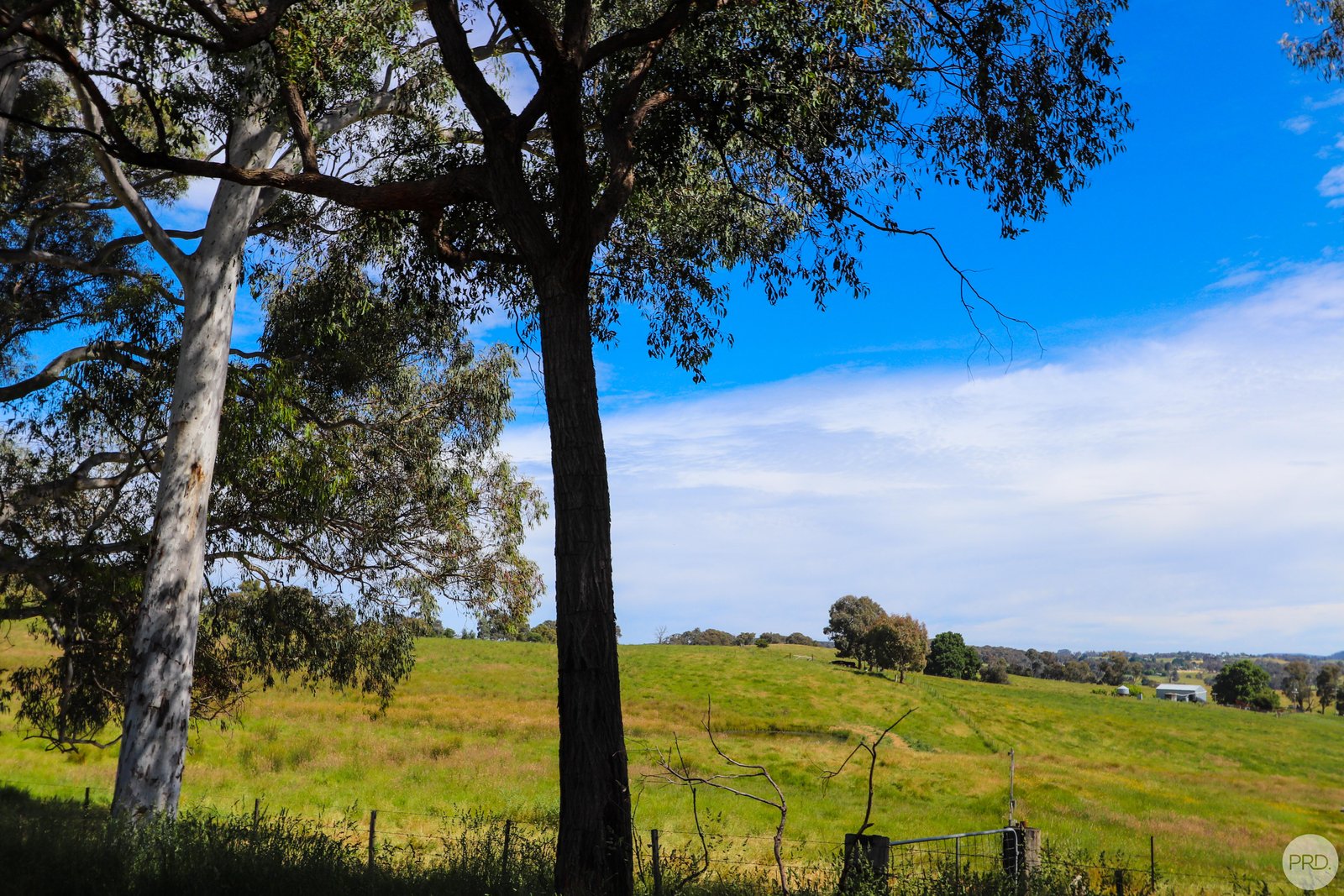 B//DP382268 Murrays Crossing Road TUMBARUMBA 8
