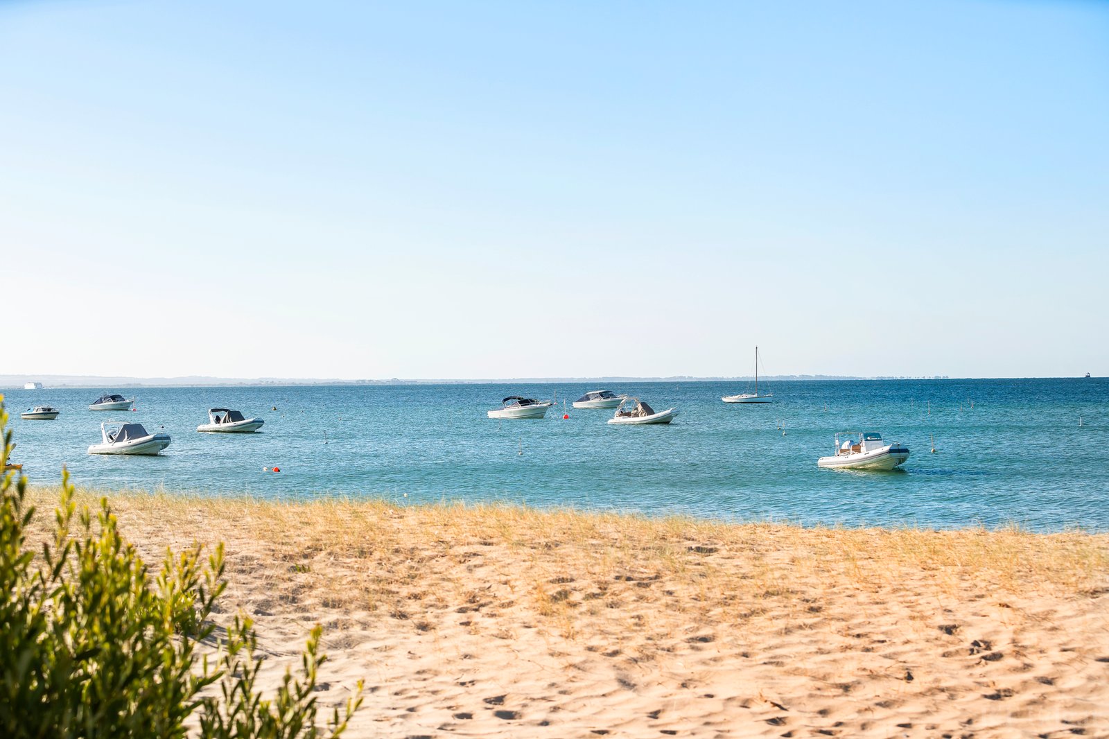 Real Estate and Property in Beach Box 28 Shelley Beach , Portsea, VIC