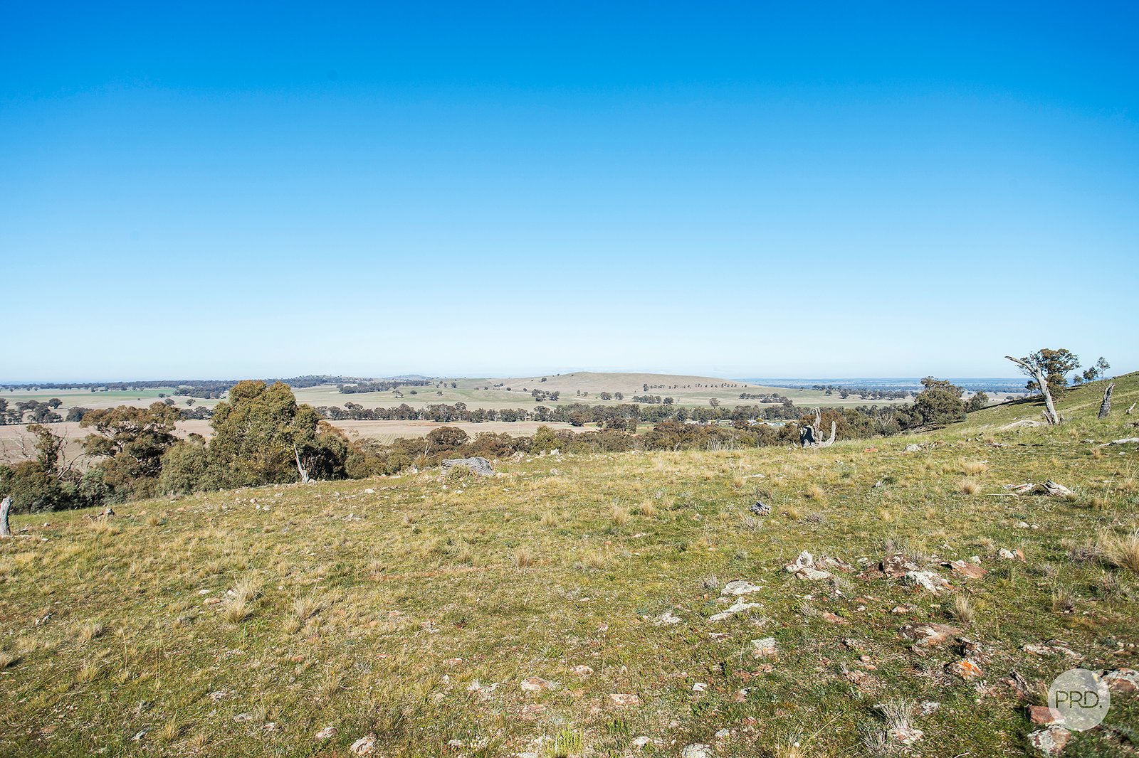 . Berrimal West Rd  BERRIMAL 3