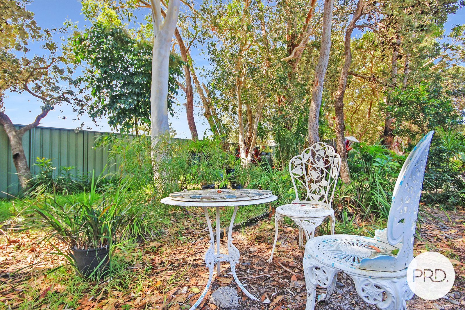  BONNY HILLS 6