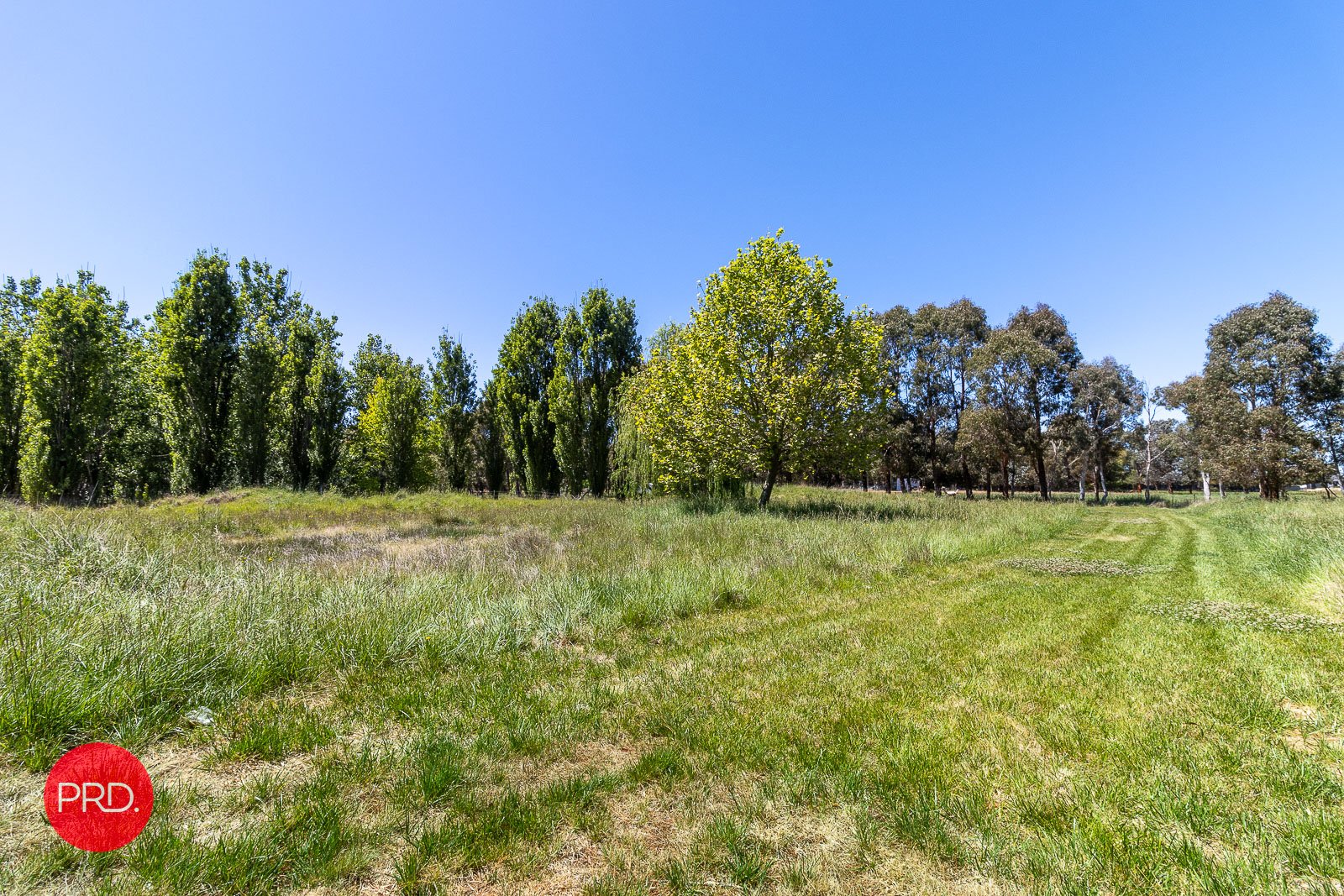 BUNGENDORE 7