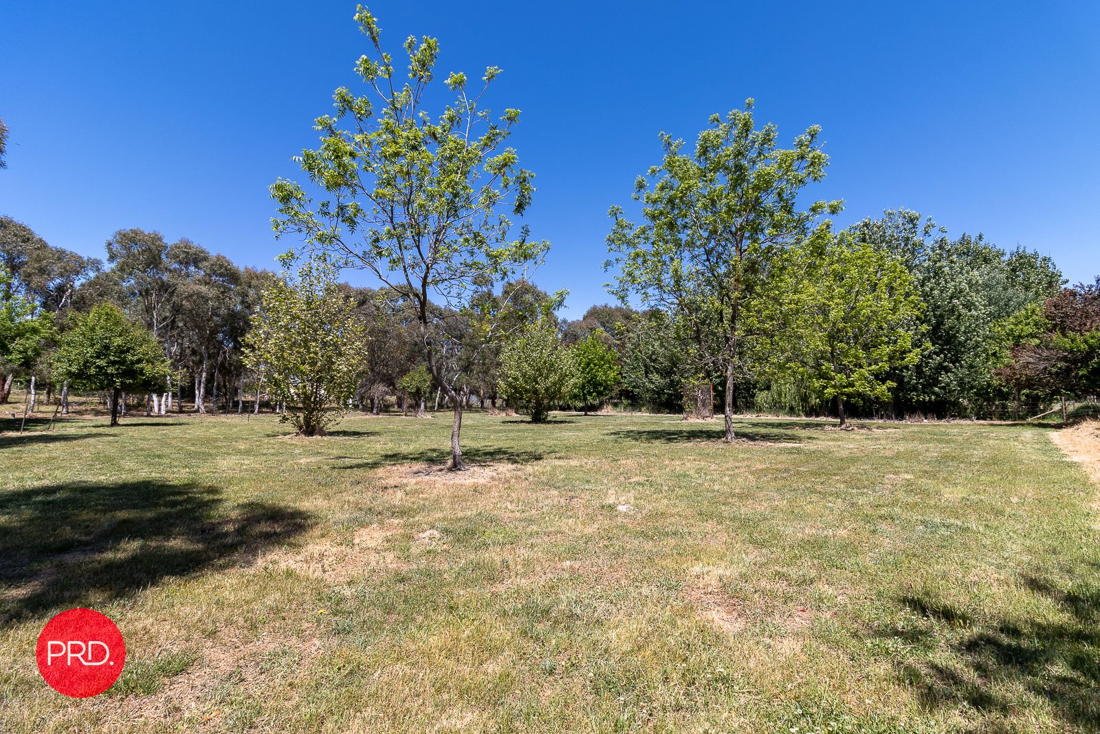 BUNGENDORE 10