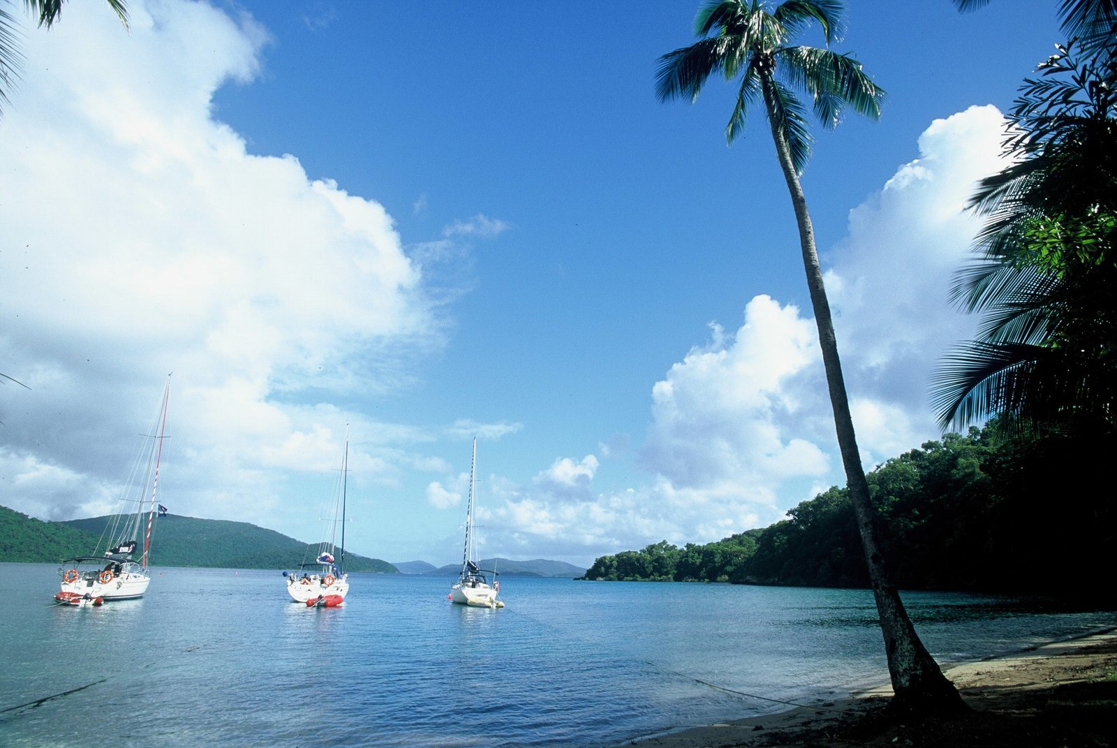 Bure 20 Palm Bay LONG ISLAND 8