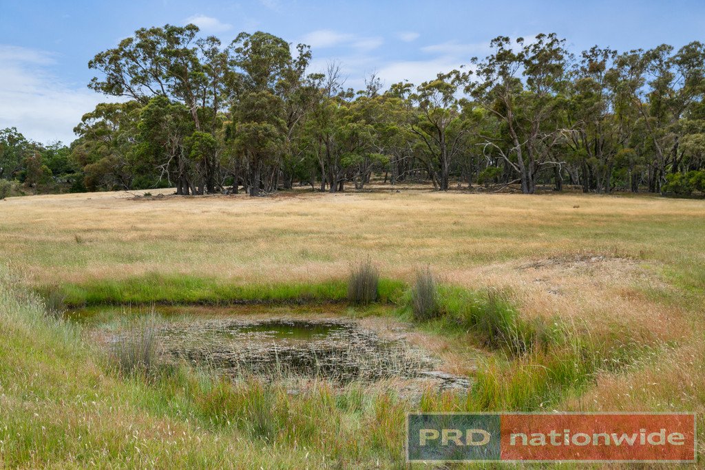 C/A 1 Scarsdale-Pitfield Road NEWTOWN 5