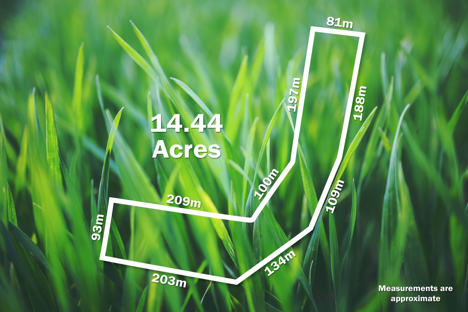 C/A 1, Section 10, Township of Berringa, Parish of Clarkesdale, Berringa Road BERRINGA 13