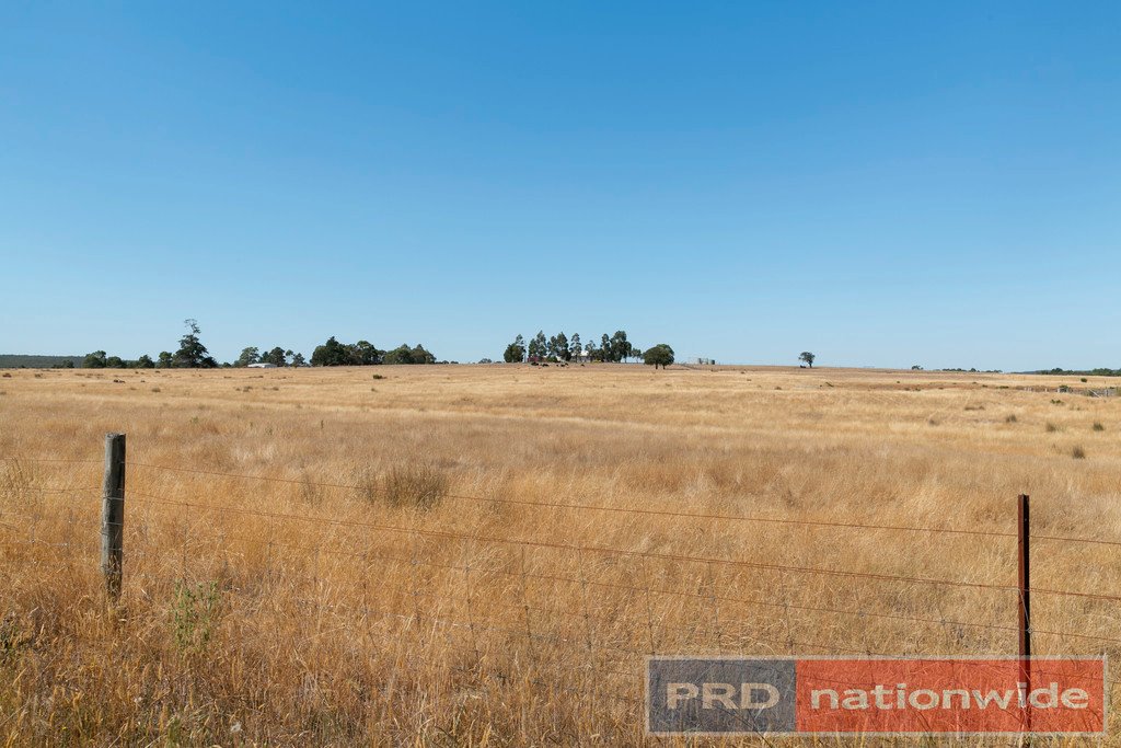 CA 11 & CA 11A Galatea Road NEWTOWN 3