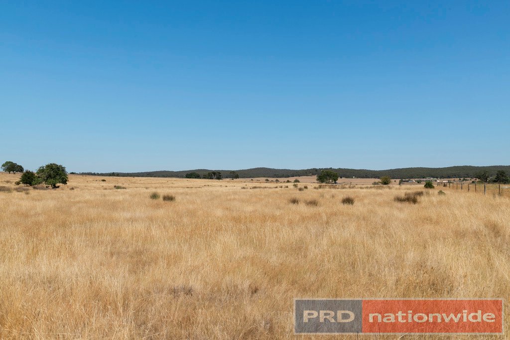 CA 11 & CA 11A Galatea Road NEWTOWN 4