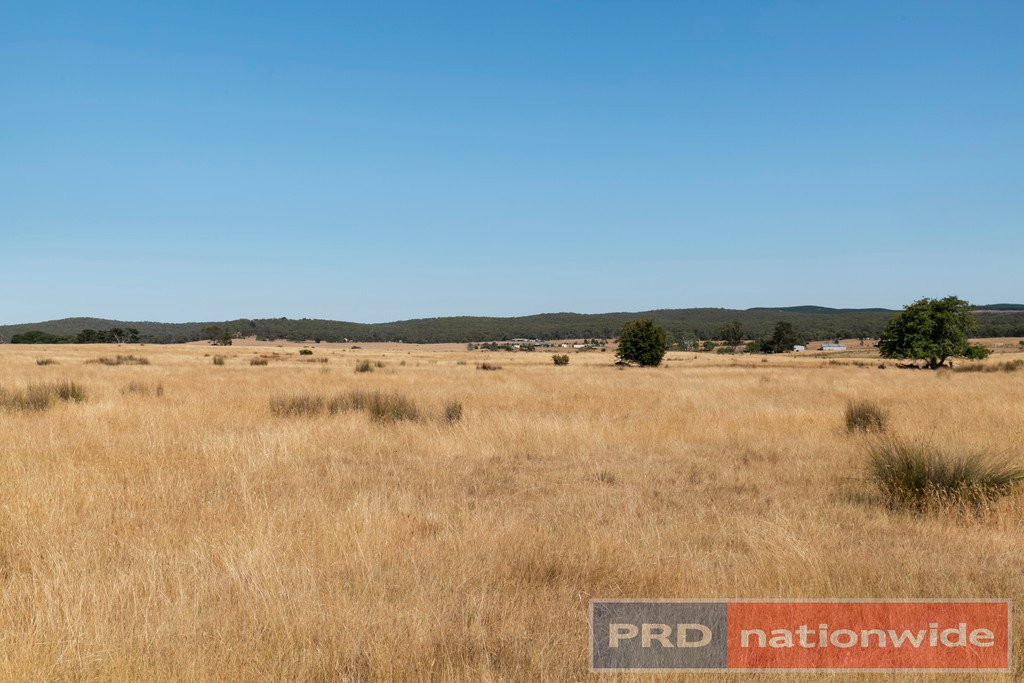 CA 11 & CA 11A Galatea Road NEWTOWN 5