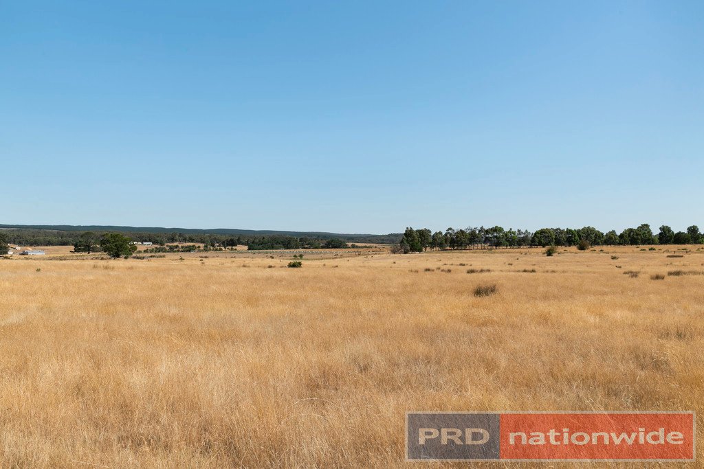 CA 11 & CA 11A Galatea Road NEWTOWN 6