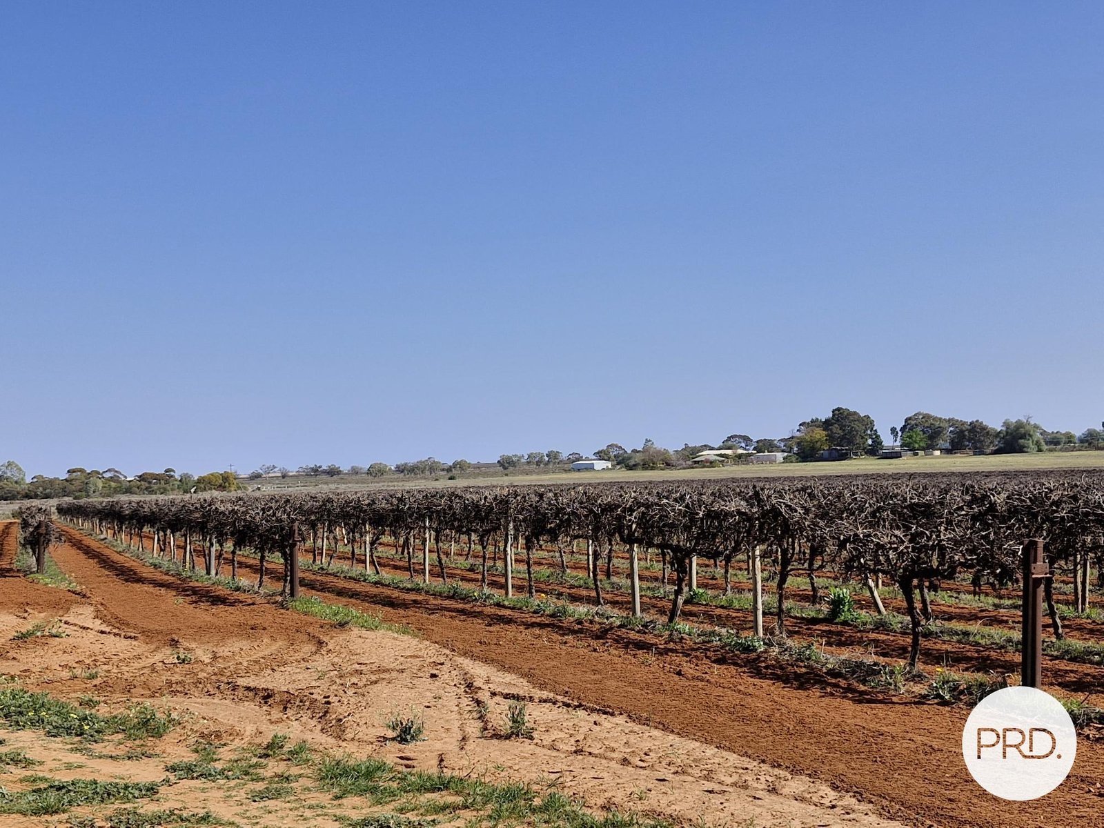 C.A 135 Cowanna Avenue South MERBEIN SOUTH 2