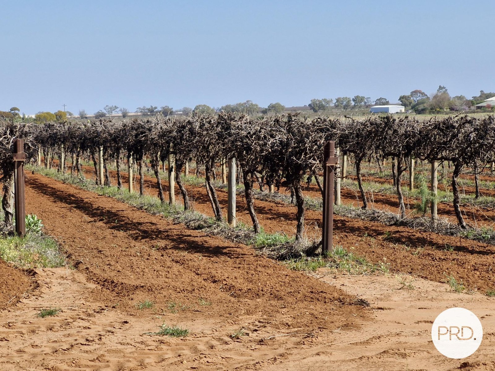 C.A 135 Cowanna Avenue South MERBEIN SOUTH 3