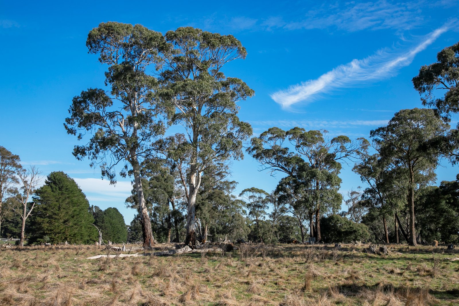 C/A 22 Haywood Road LAL LAL 6