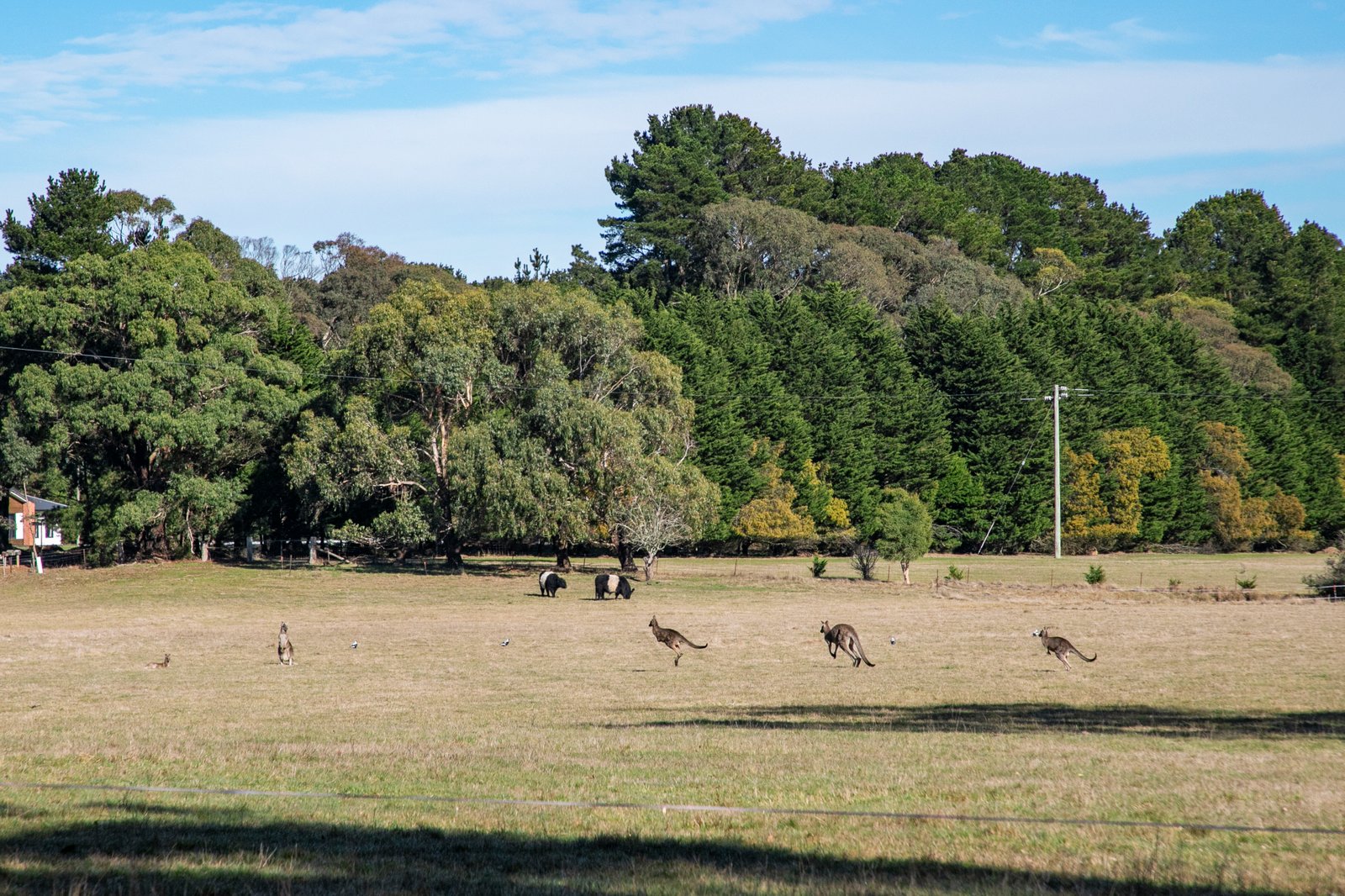 C/A 22 Haywood Road LAL LAL 7