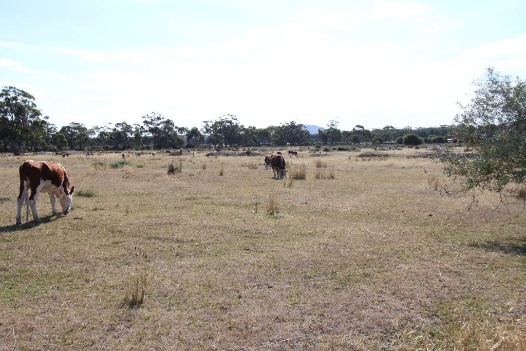 CA 24 Eaglesons Road LAL LAL 1