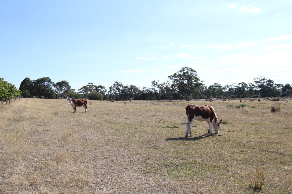 CA 24 Eaglesons Road LAL LAL 4