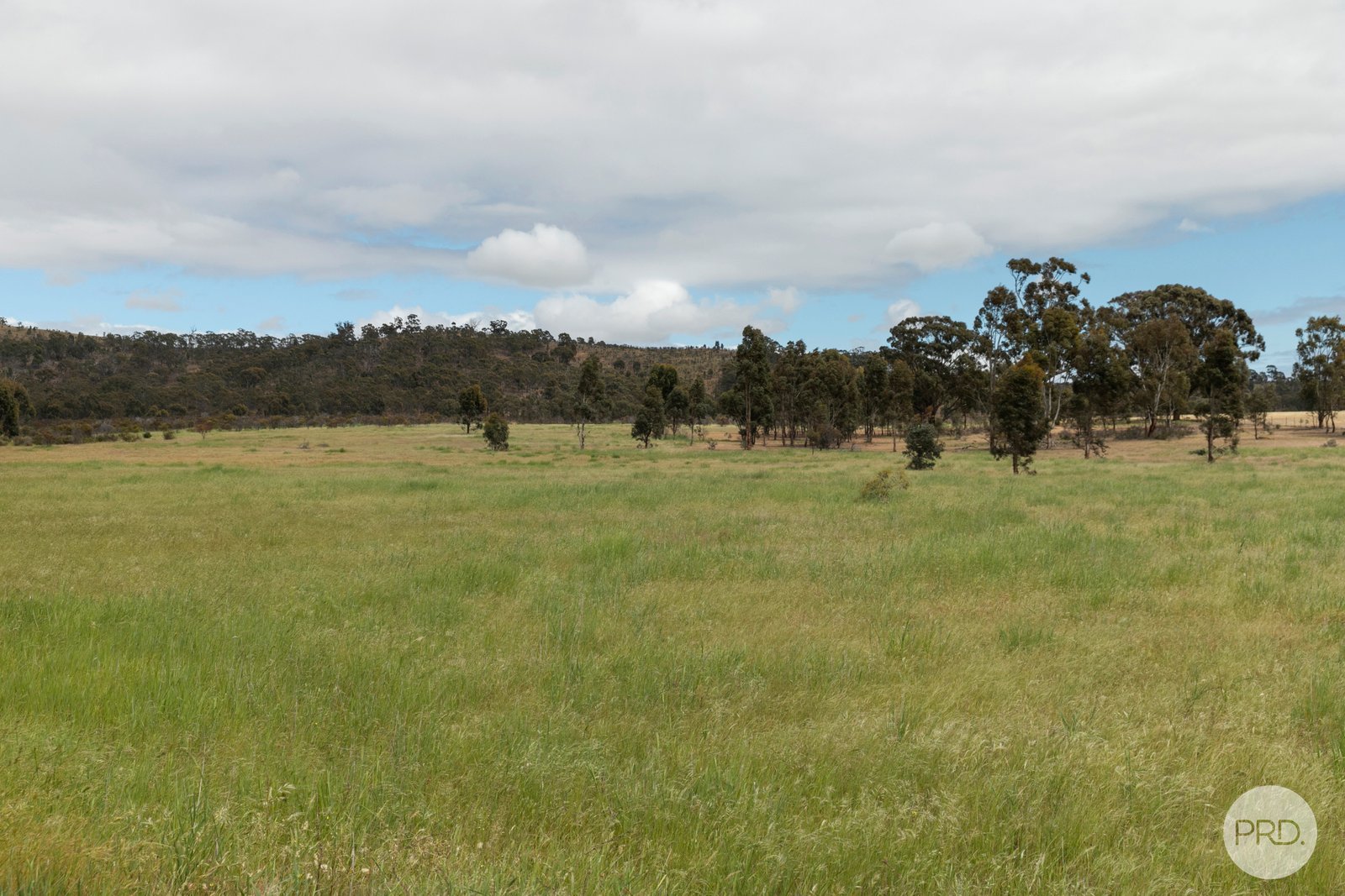 CA 288 Stawell-Avoca Road NAVARRE 6