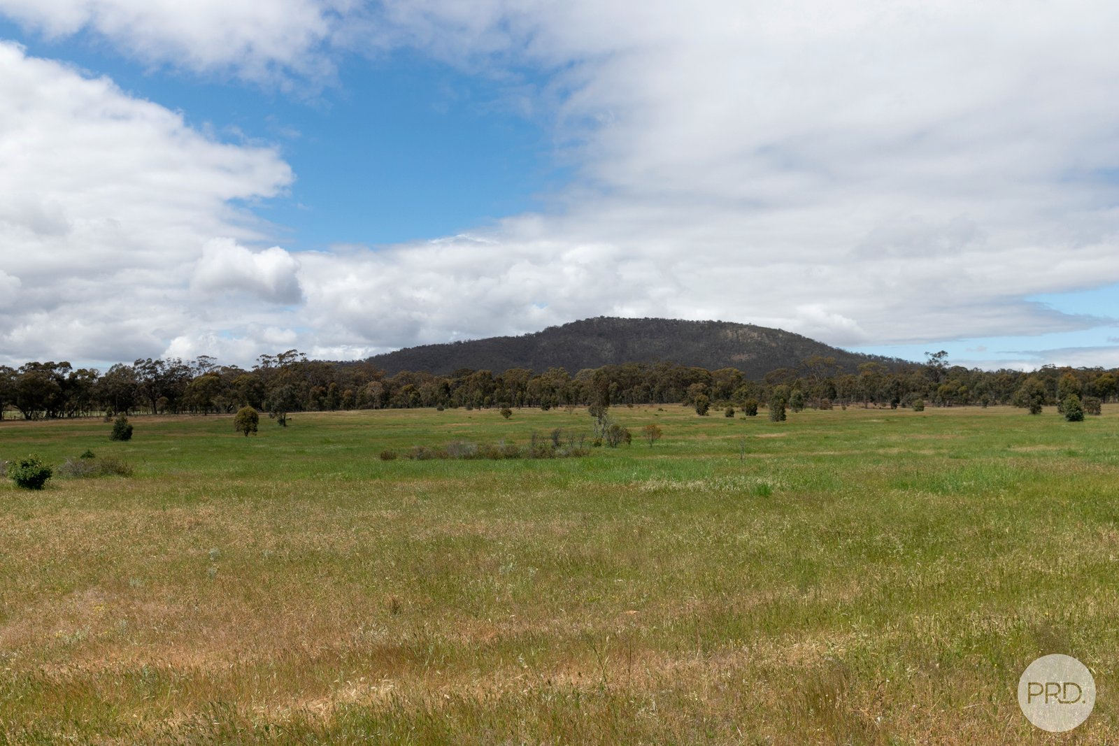 CA 288 Stawell-Avoca Road NAVARRE 8